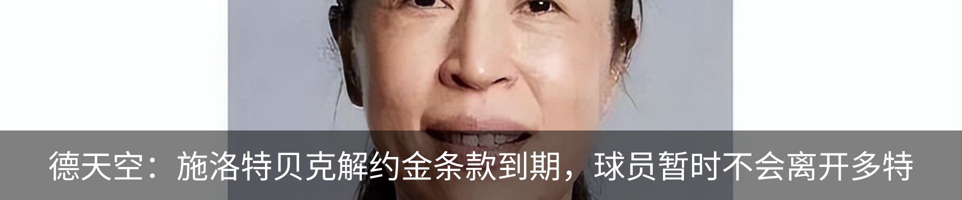 新闻动态