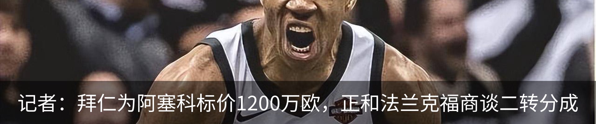新闻动态