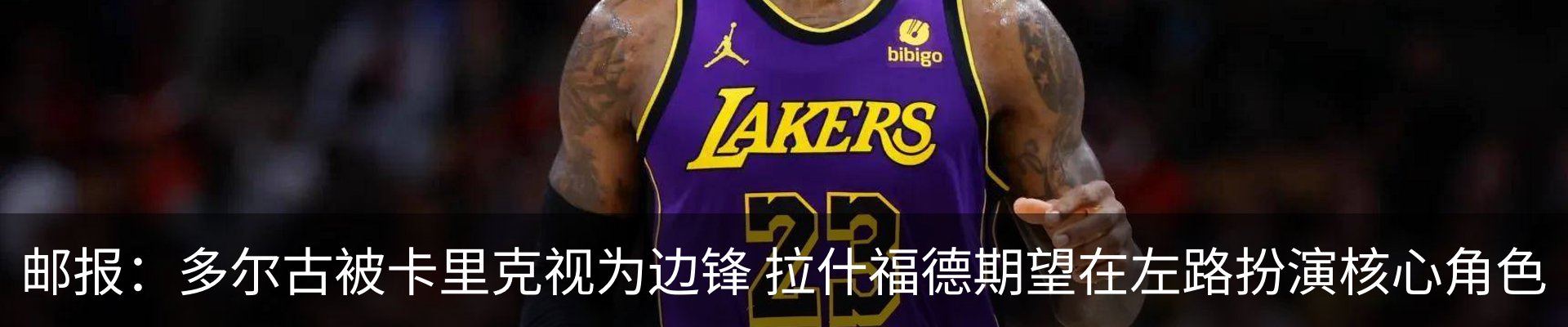 新闻动态