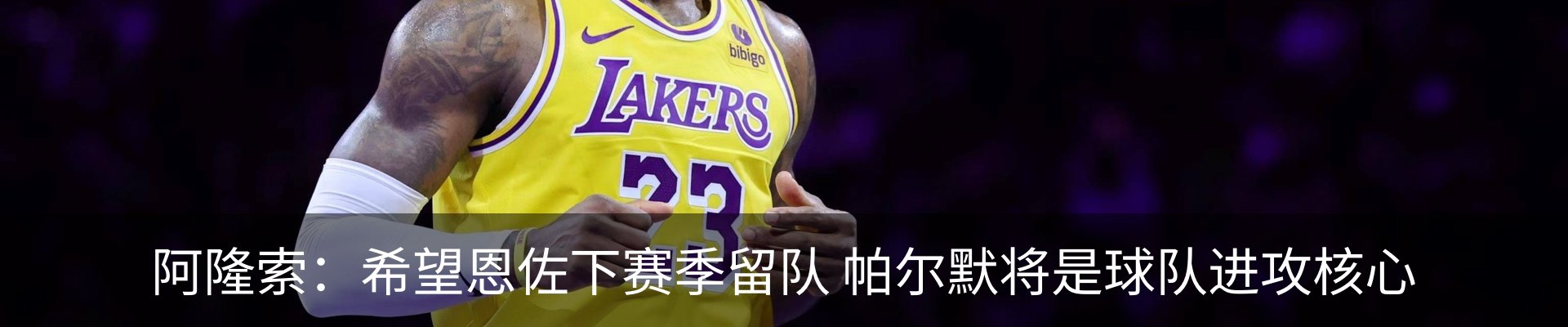 新闻动态